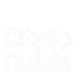 Fully Qualified City and Guilds Plasterer